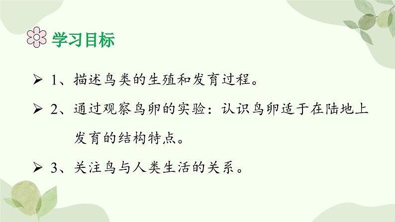 济南版生物八年级上册 第二章第三节 鸟的生殖和发育课件05