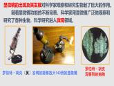 苏教版七年级生物走进生物学实验室课件