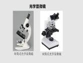 苏教版七年级生物走进生物学实验室课件