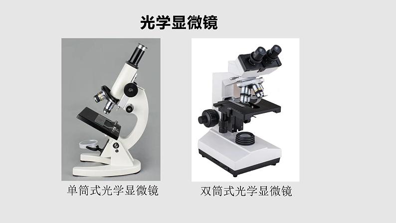 苏教版七年级生物走进生物学实验室课件03