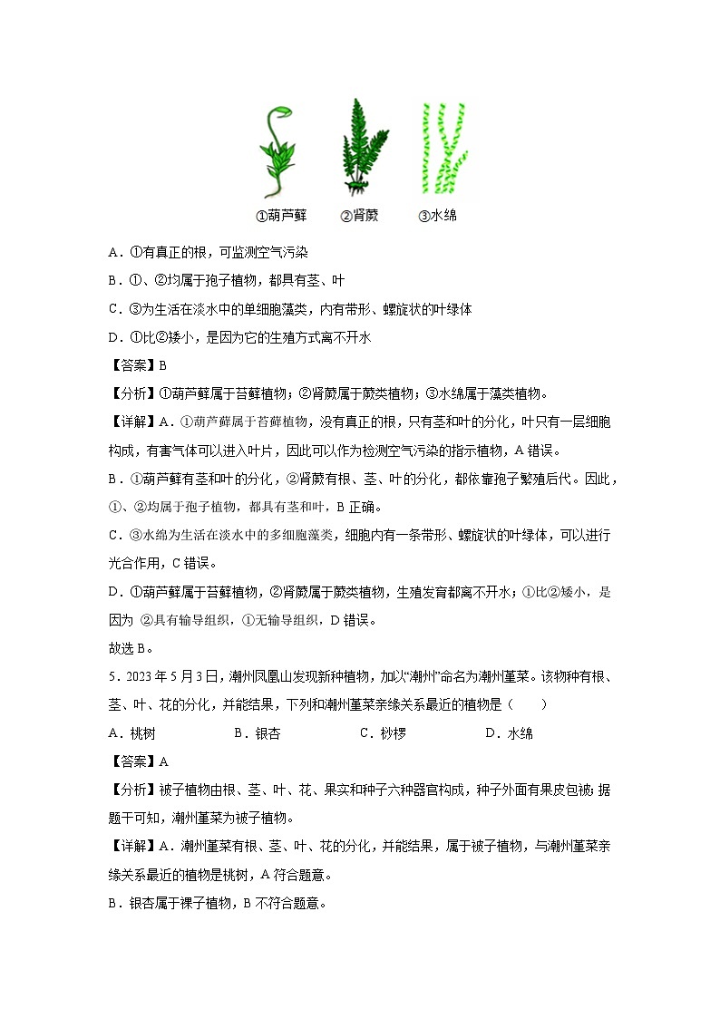 [生物]八年级上学期第一次月考卷(解析版)(江苏专用苏教版)第3页