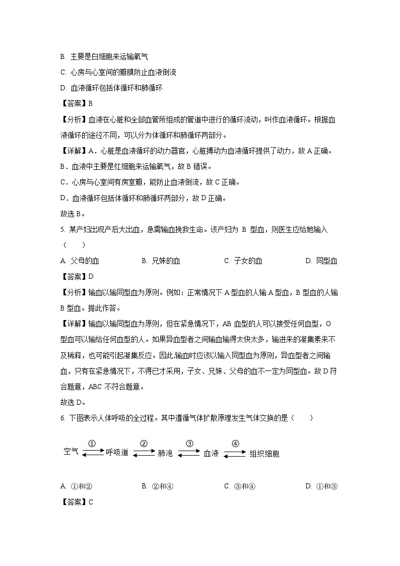 [生物][期末]北京市石景山区2020-2021学年七年级下学期期末试题(解析版)第3页