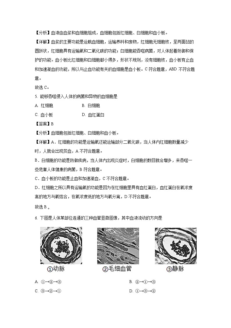 [生物][期末]北京市顺义区2023-2024学年七年级下学期期末试题(解析版)第3页