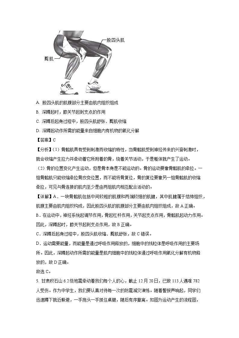 [生物][期末]四川省德阳市旌阳区2023-2024学年八年级上学期期末试题(解析版)第3页