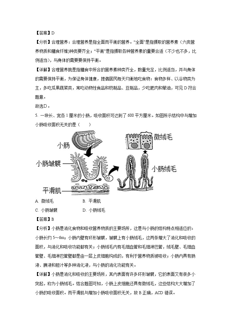 [生物][期末]广西来宾市2023-2024学年七年级下学期期末试题(解析版)第3页
