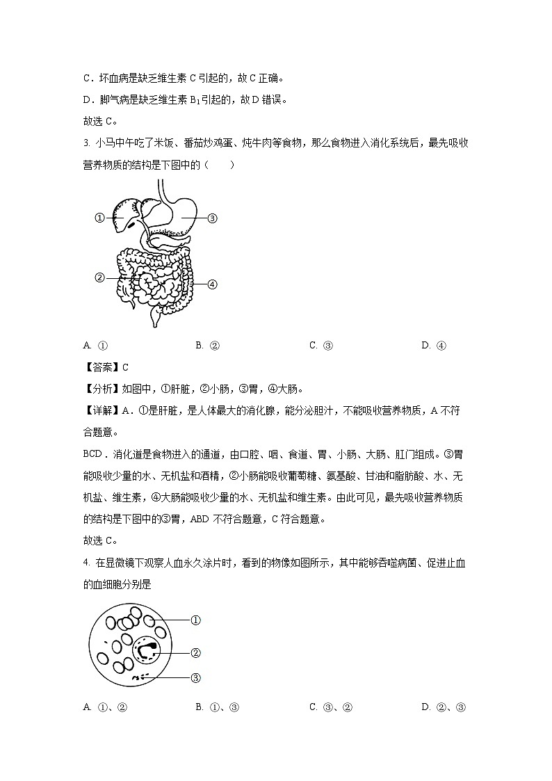 [生物][期末]广西防城港市2023-2024学年七年级下学期期末试题(解析版)02