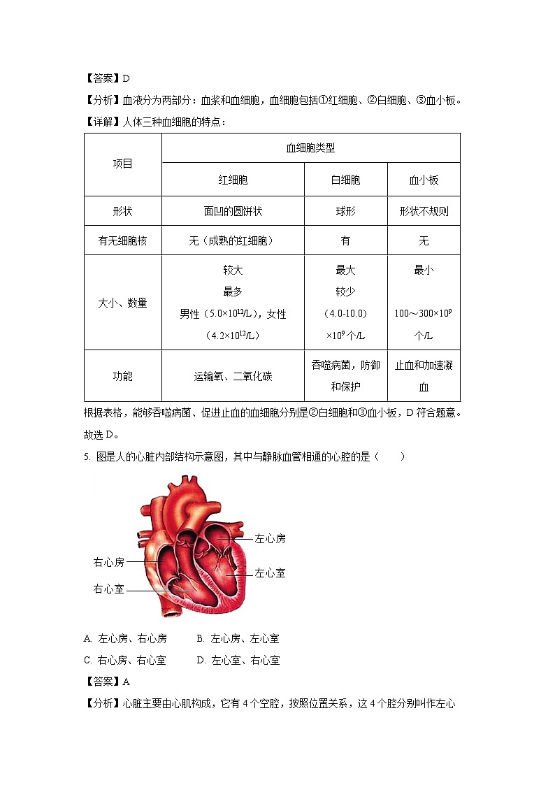 [生物][期末]广西防城港市2023-2024学年七年级下学期期末试题(解析版)03