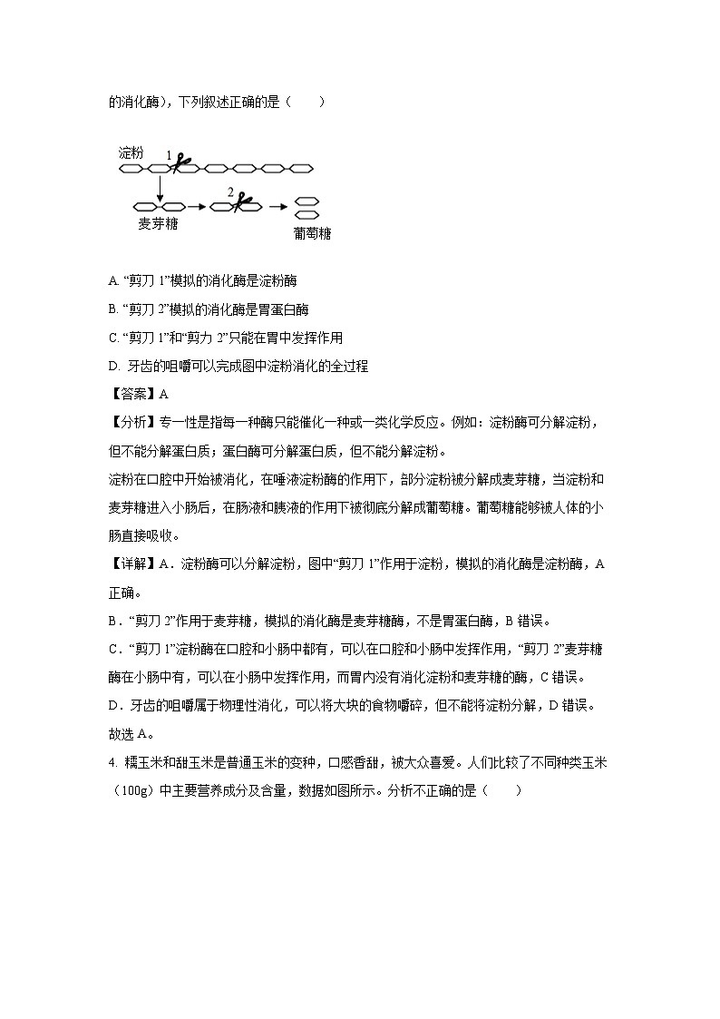 [生物][期末]河北省唐山市2023-2024学年七年级下学期期末试题(解析版)03