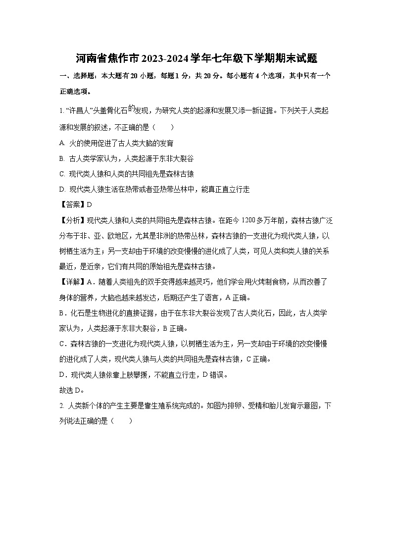[生物][期末]河南省焦作市2023-2024学年七年级下学期期末试题(解析版)第1页