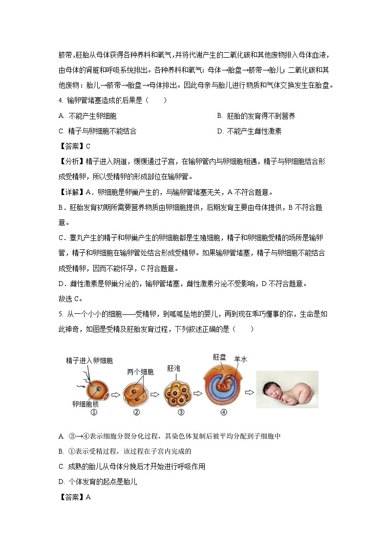 [生物][期末]海南省海口市2023-2024学年七年级下学期期末试题(解析版)02