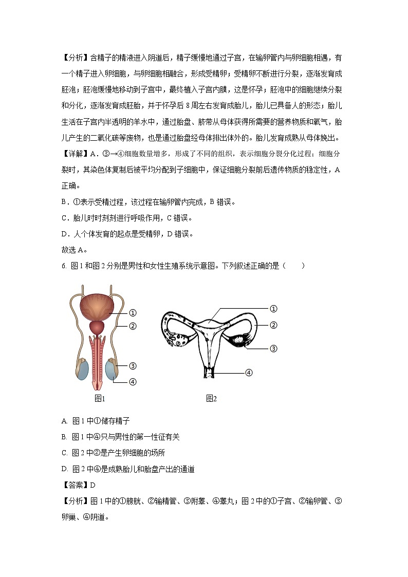 [生物][期末]海南省海口市2023-2024学年七年级下学期期末试题(解析版)03