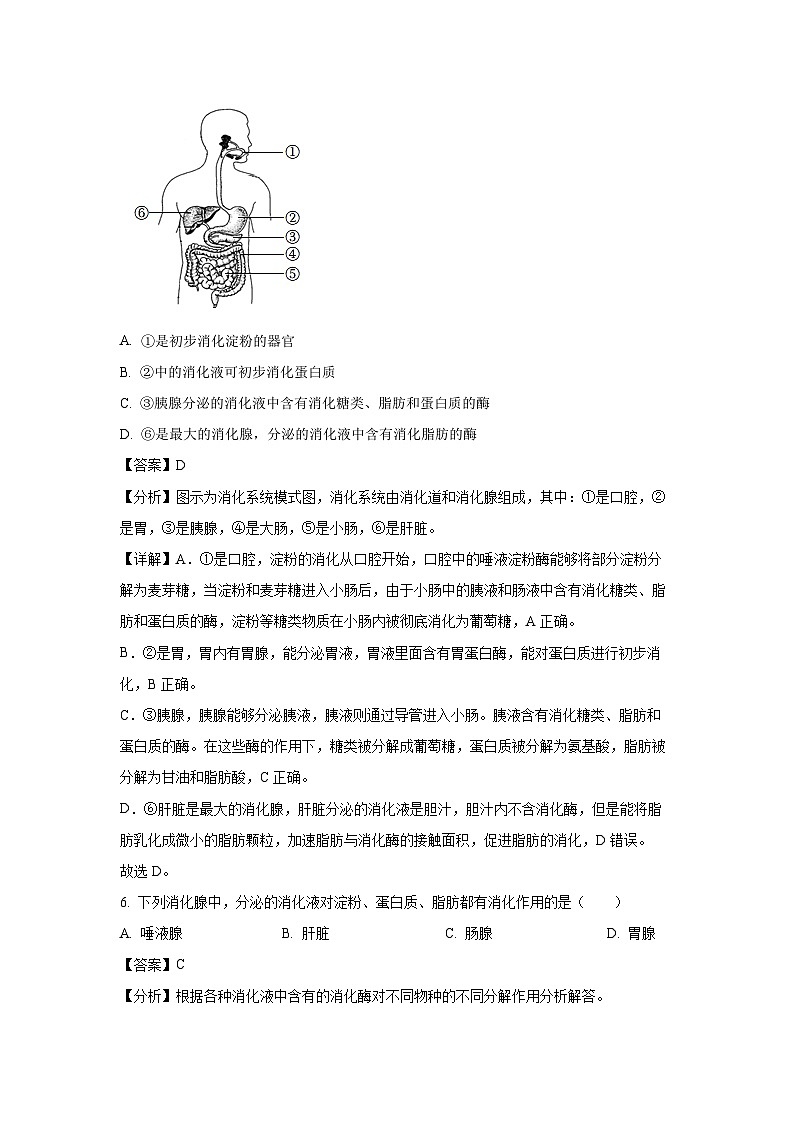 [生物][期末]黑龙江省齐齐哈尔市2023-2024学年七年级下学期期末试题(解析版)第3页