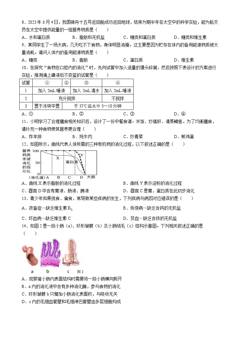 广西桂林市第一中学2023-2024学年七年级下学期期中质量检测生物试卷(无答案)02