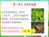 【新教材新课标】人教版生物七上1.1.1观察周边环境中的生物 课件+教案+习题（含答案）
