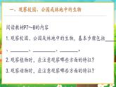 【新教材新课标】人教版生物七上1.1.1观察周边环境中的生物 课件+教案+习题（含答案）