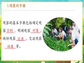 【新教材新课标】人教版生物七上1.1.1观察周边环境中的生物 课件+教案+习题（含答案）