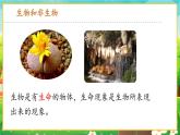 【新教材新课标】人教版生物七上1.1.2生物的特征 课件+教案+习题（含答案）