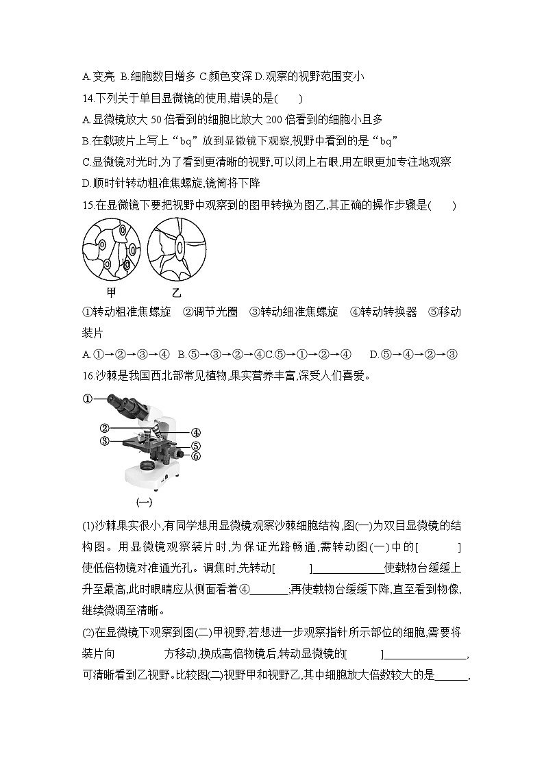 【新教材新课标】人教版生物七上1.2.1 学习使用显微镜 课件+教案+习题（含答案）03