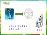 【新教材新课标】人教版生物七上1.2.1 学习使用显微镜 课件+教案+习题（含答案）