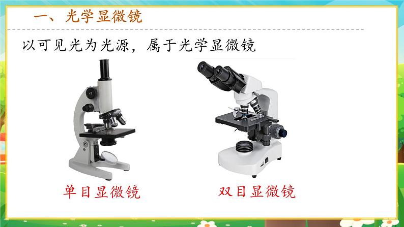 【新教材新课标】人教版生物七上1.2.1 学习使用显微镜 课件+教案+习题（含答案）04