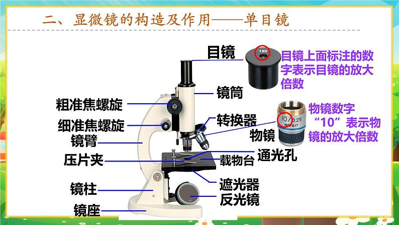 【新教材新课标】人教版生物七上1.2.1 学习使用显微镜 课件+教案+习题（含答案）05