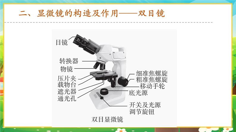 【新教材新课标】人教版生物七上1.2.1 学习使用显微镜 课件+教案+习题（含答案）06