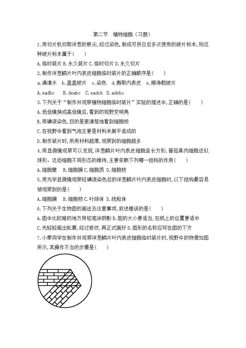 【新教材新课标】人教版生物七上1.2.2植物细胞 课件+教案+习题（含答案）01