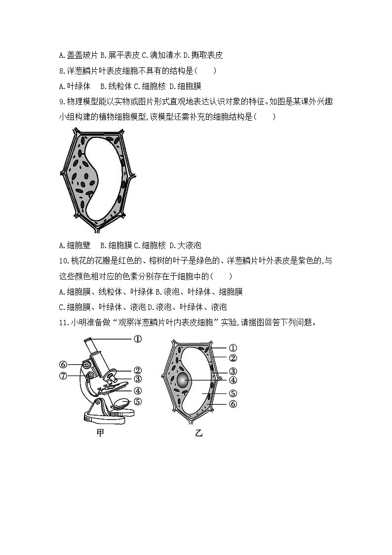 【新教材新课标】人教版生物七上1.2.2植物细胞 课件+教案+习题（含答案）02