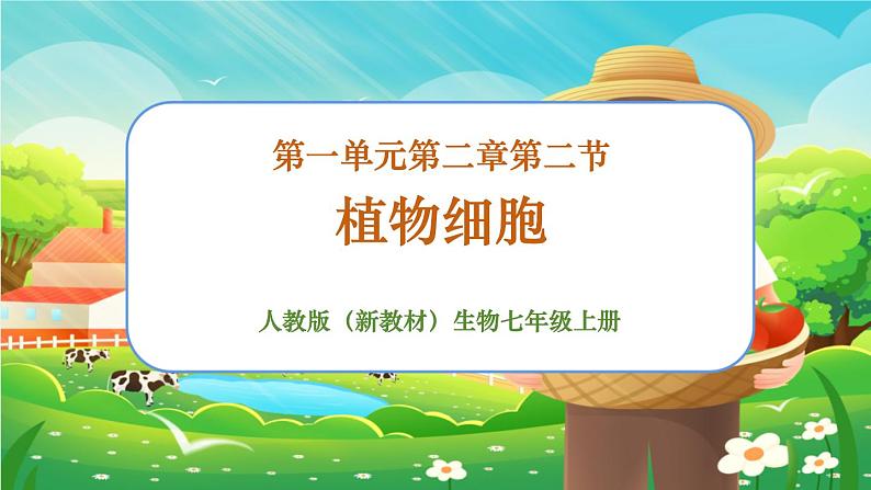 【新教材新课标】人教版生物七上1.2.2植物细胞 课件+教案+习题（含答案）01