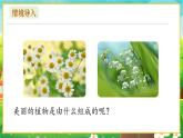 【新教材新课标】人教版生物七上1.2.2植物细胞 课件+教案+习题（含答案）