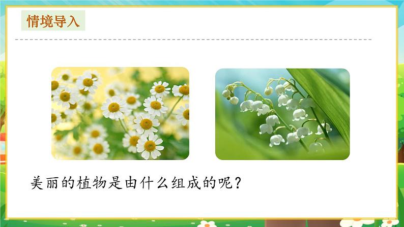 【新教材新课标】人教版生物七上1.2.2植物细胞 课件+教案+习题（含答案）02