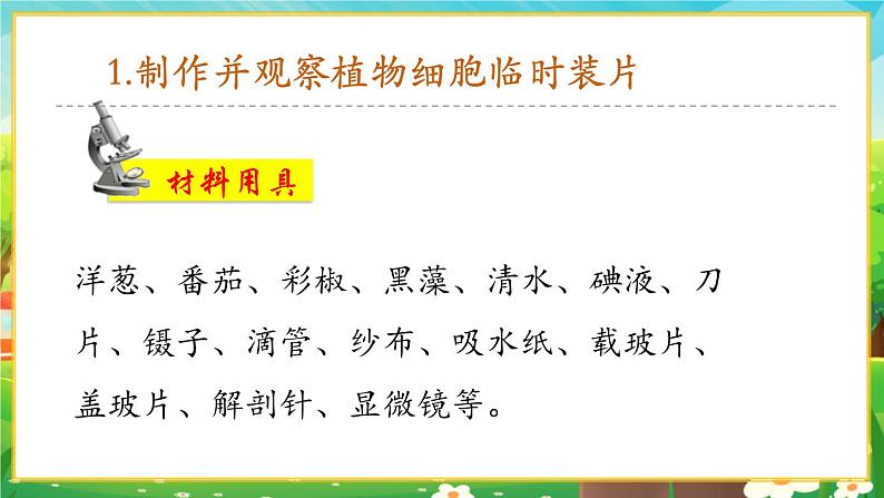 【新教材新课标】人教版生物七上1.2.2植物细胞 课件+教案+习题（含答案）07