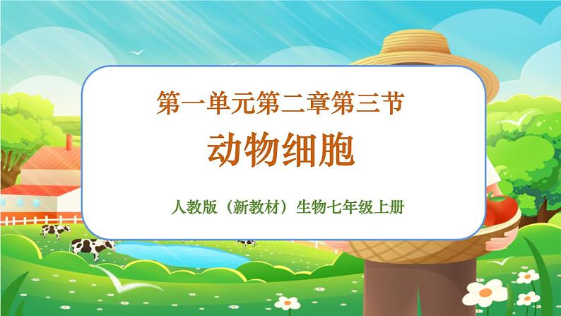 【新教材新课标】人教版生物七上1.2.3动物细胞 课件+教案+习题(含答案）01