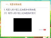 【新教材新课标】人教版生物七上1.2.3动物细胞 课件+教案+习题(含答案）