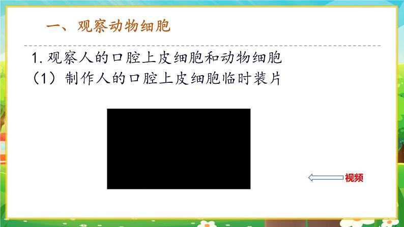 【新教材新课标】人教版生物七上1.2.3动物细胞 课件+教案+习题(含答案）03