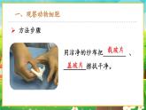 【新教材新课标】人教版生物七上1.2.3动物细胞 课件+教案+习题(含答案）