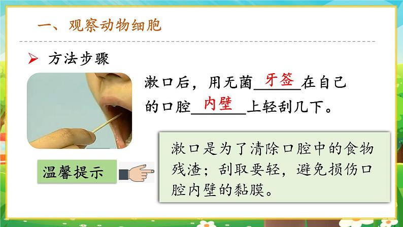 【新教材新课标】人教版生物七上1.2.3动物细胞 课件+教案+习题(含答案）06