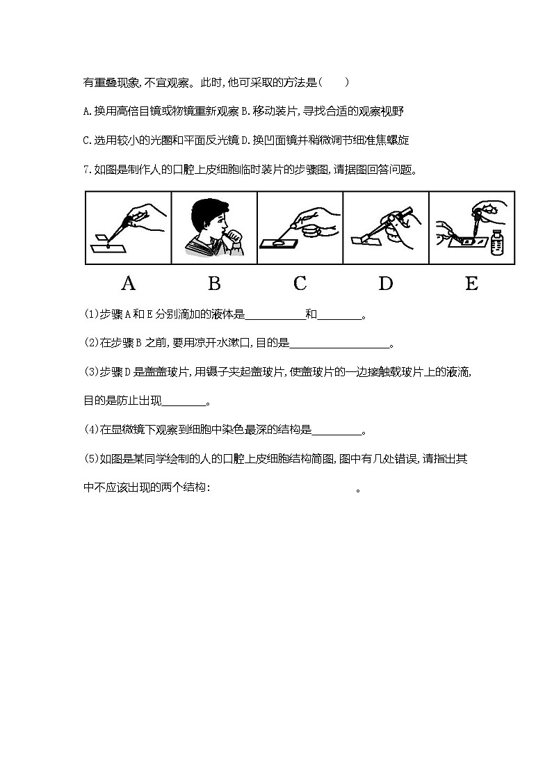 【新教材新课标】人教版生物七上1.2.3动物细胞 课件+教案+习题(含答案）02