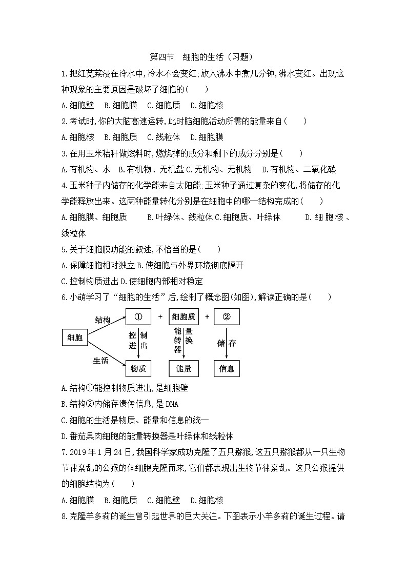 【新教材新课标】人教版生物七上1.2.4细胞的生活 课件+教案+习题（含答案）01