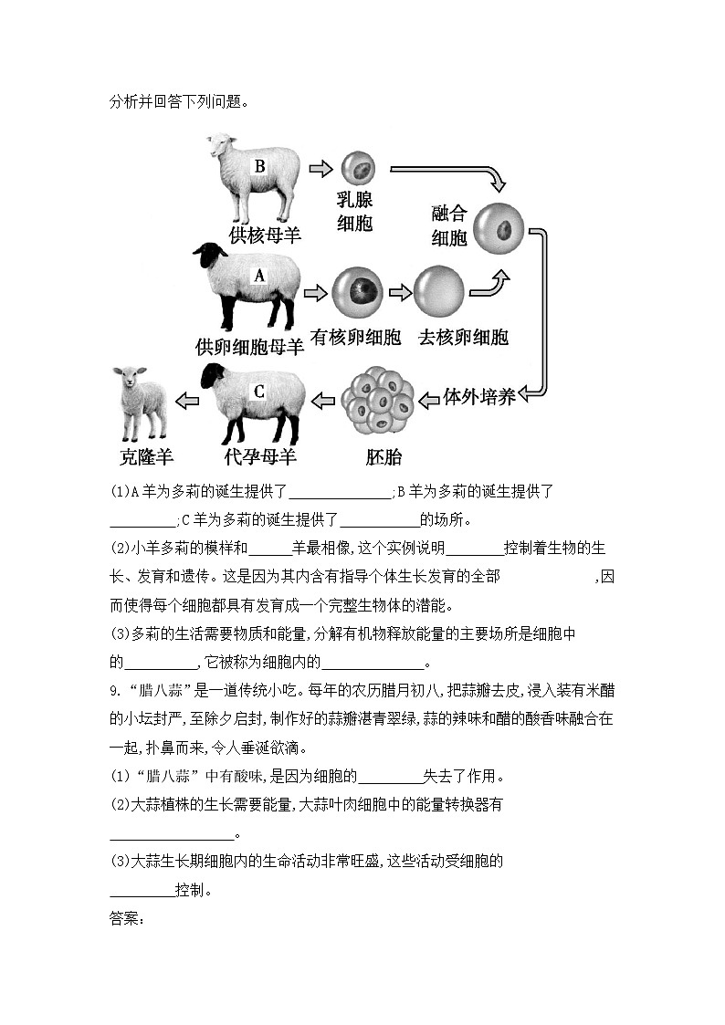 【新教材新课标】人教版生物七上1.2.4细胞的生活 课件+教案+习题（含答案）02