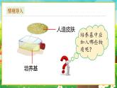 【新教材新课标】人教版生物七上1.2.4细胞的生活 课件+教案+习题（含答案）