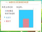 【新教材新课标】人教版生物七上1.2.4细胞的生活 课件+教案+习题（含答案）