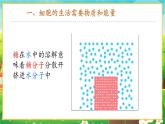 【新教材新课标】人教版生物七上1.2.4细胞的生活 课件+教案+习题（含答案）