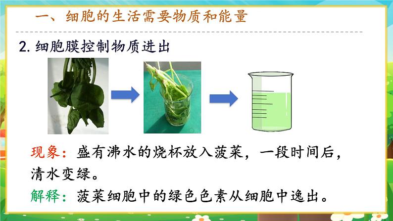 【新教材新课标】人教版生物七上1.2.4细胞的生活 课件+教案+习题（含答案）07