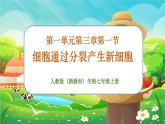 【新教材新课标】人教版生物七上1.3.1细胞通过分裂产生新细胞 课件+教案+习题（含答案）