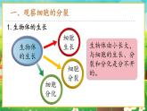 【新教材新课标】人教版生物七上1.3.1细胞通过分裂产生新细胞 课件+教案+习题（含答案）