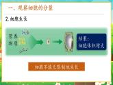 【新教材新课标】人教版生物七上1.3.1细胞通过分裂产生新细胞 课件+教案+习题（含答案）