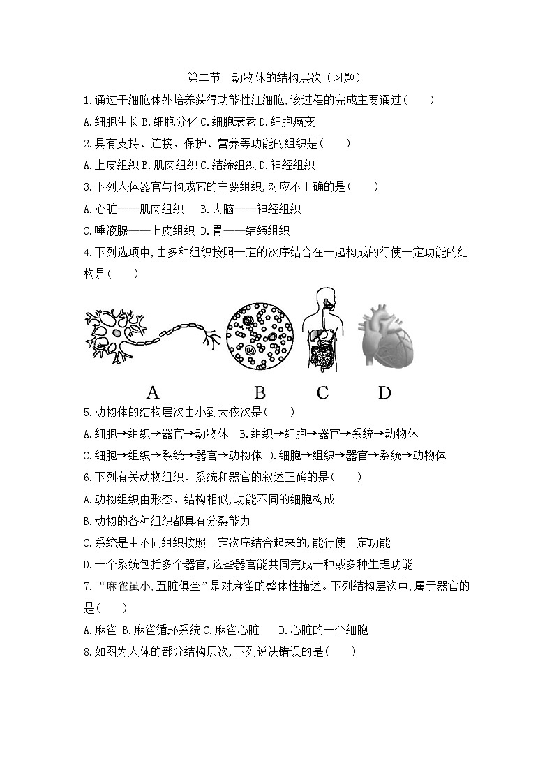 【新教材新课标】人教版生物七上1.3.2动物体的结构层次 课件+教案+习题（含答案）01