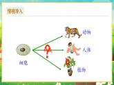 【新教材新课标】人教版生物七上1.3.2动物体的结构层次 课件+教案+习题（含答案）