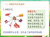 【新教材新课标】人教版生物七上1.3.2动物体的结构层次 课件+教案+习题（含答案）